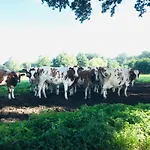 't Aarthuis *