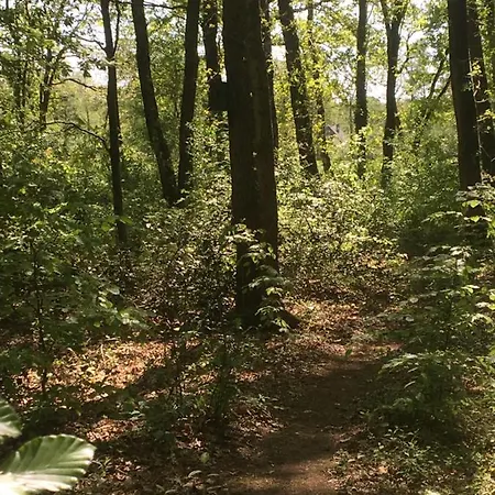 Nyaraló 't Aarthuis