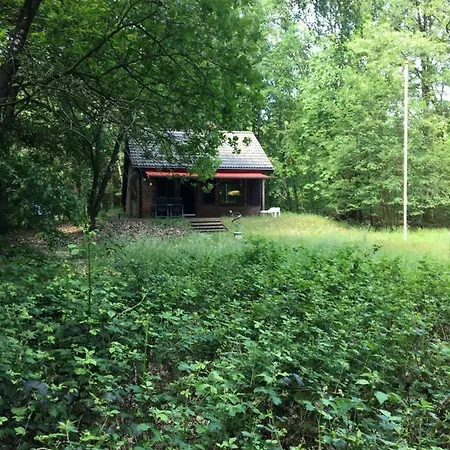 't Aarthuis Holiday home *