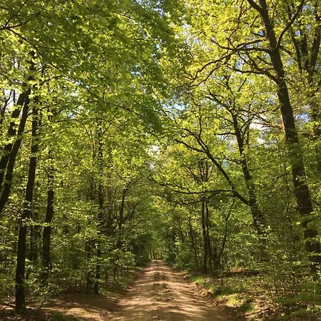 't Aarthuis Nyaraló