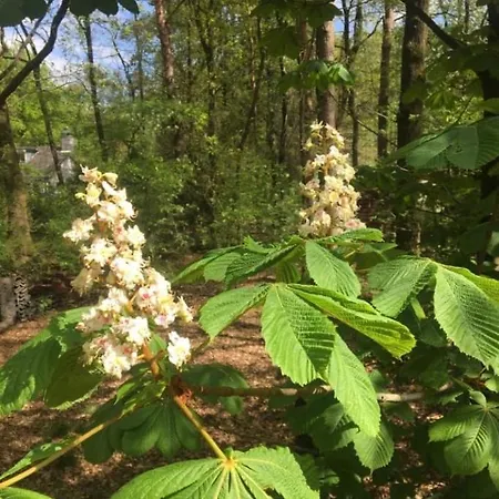 't Aarthuis Nyaraló