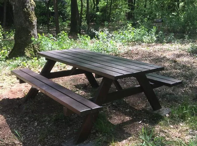 't Aarthuis Semesterbostad *