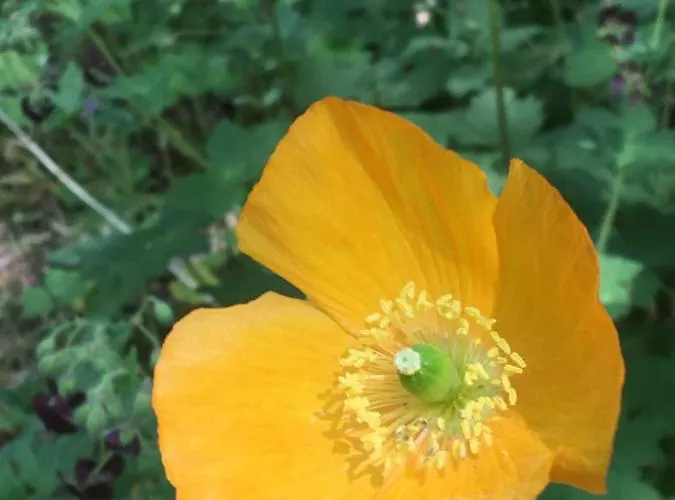 't Aarthuis Сasa de vacaciones