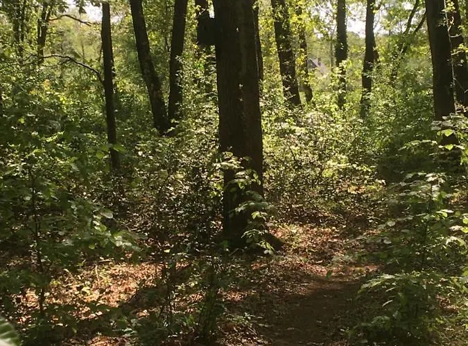 Semesterbostad 't Aarthuis