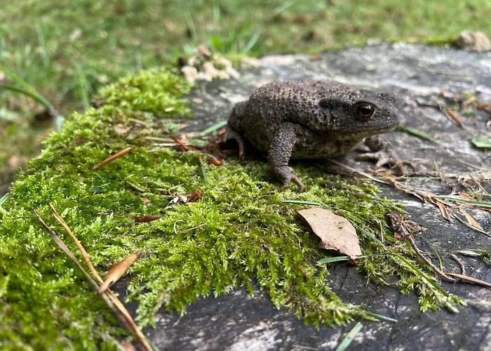 Сasa de vacaciones 't Aarthuis Emst