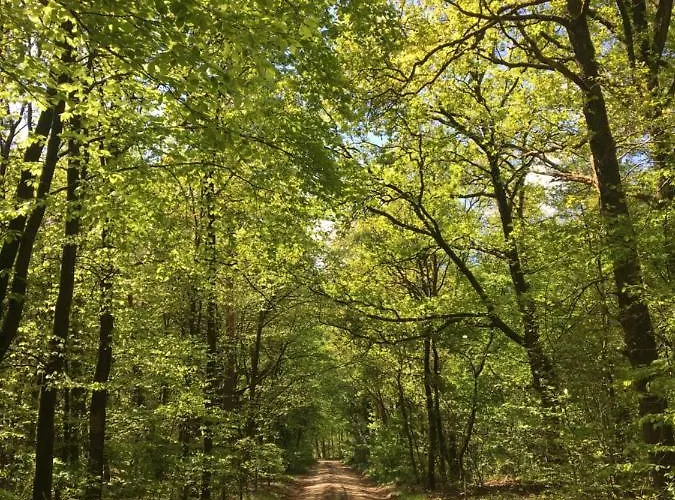 't Aarthuis Сasa de vacaciones