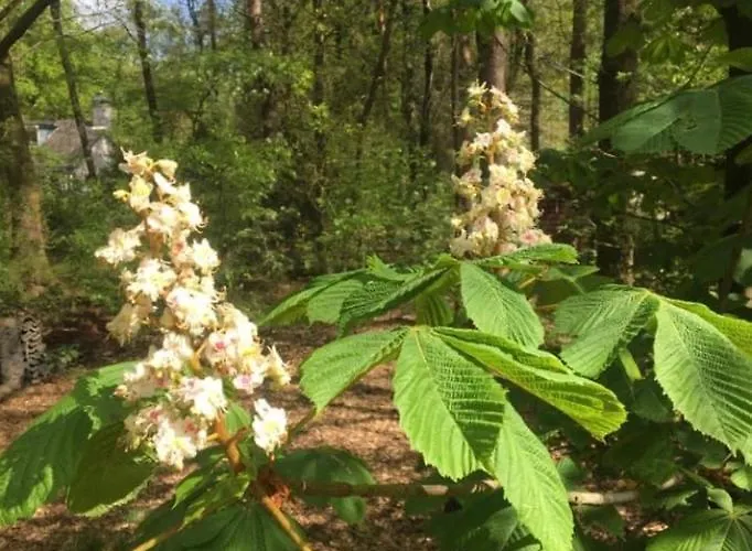 't Aarthuis Semesterbostad
